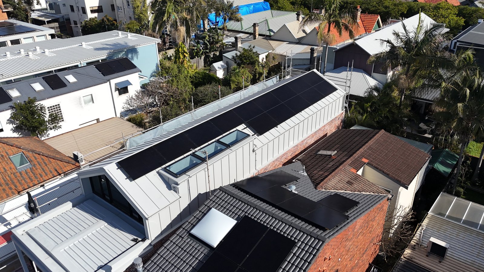Aerial view of a grey standing-seam roof solar array in Manly surrounded by palm trees